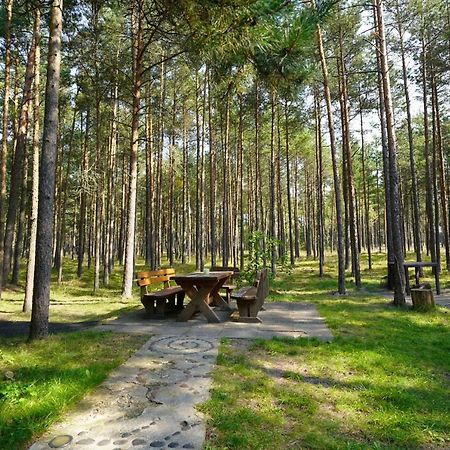 Forest Cottage ネリンガ エクステリア 写真