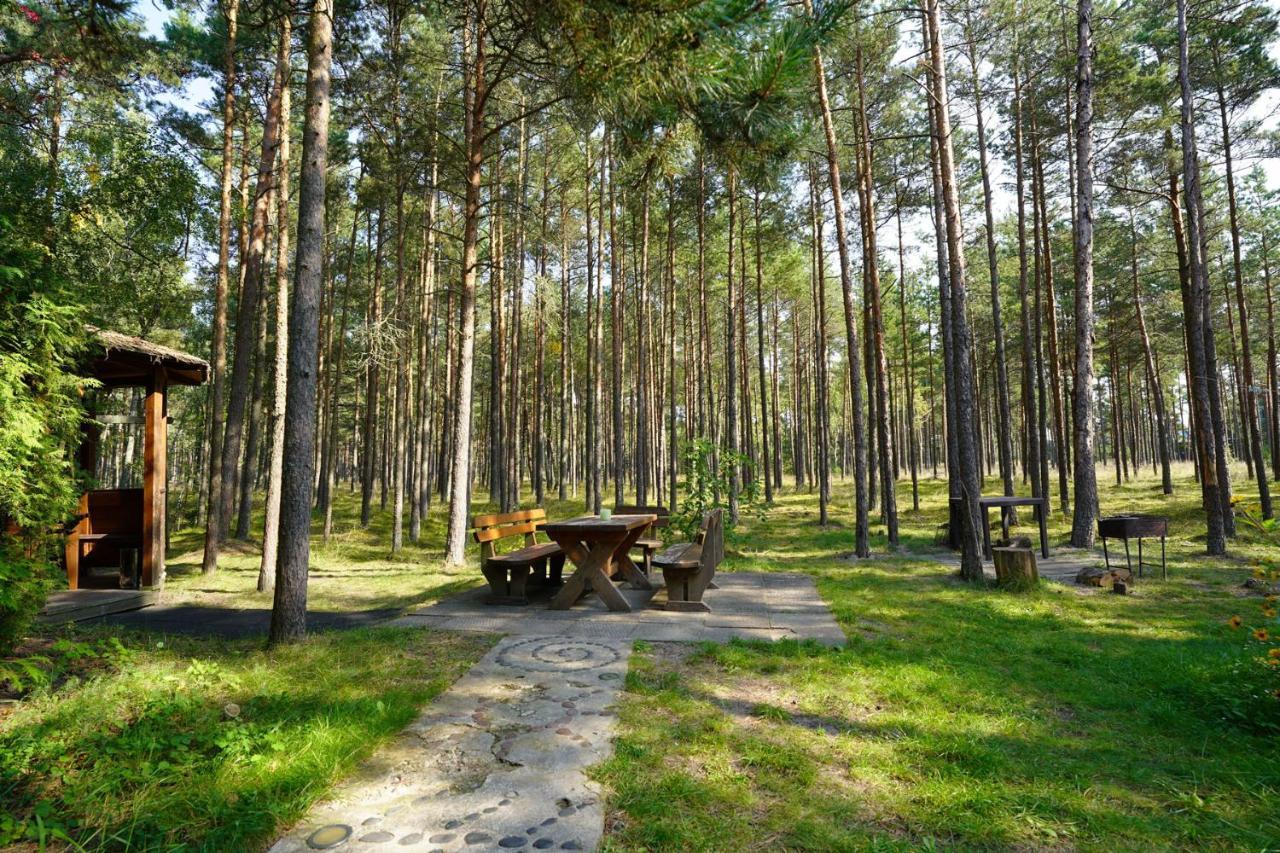 Forest Cottage ネリンガ エクステリア 写真