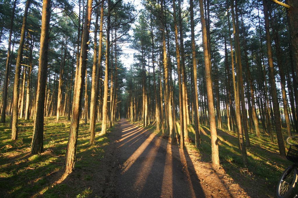 Forest Cottage ネリンガ 部屋 写真